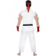 Superhrdina Ruy Street Fighter