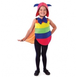 Dětský kostým barevný brouk