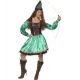 Pohádkový kostým Robin Hood
