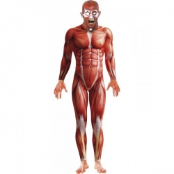 Morphsuit anatomy kostým